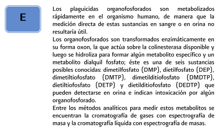 5. Diagnóstico 5 - GPC-SS-100